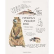 Kép 3/6 - Wild and Woolly Knitted Animals