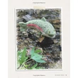 Kép 5/6 - Wild and Woolly Knitted Animals